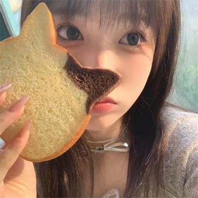 车队